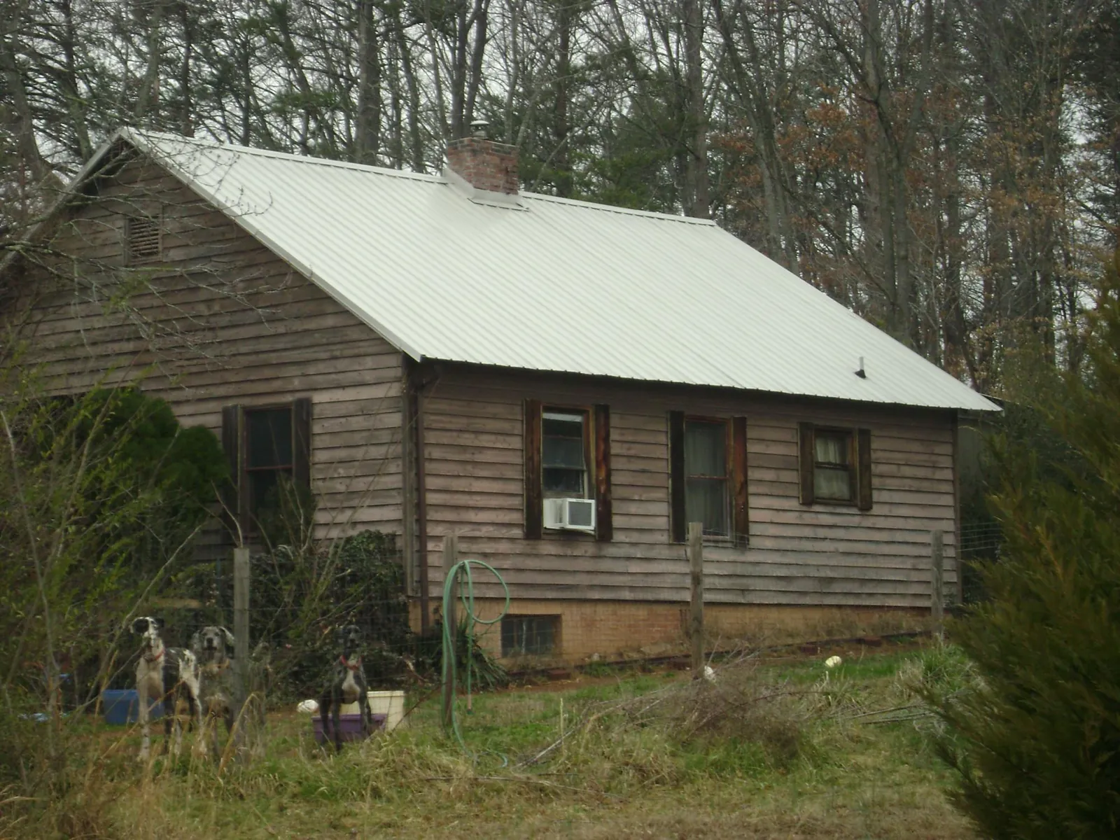 White metal roof on an old wood sided farmhouse, from a Asphalt Shingle Roof Repair job in Grand Haven